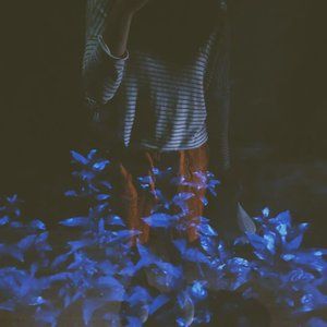 Meet your Posher, Catherine